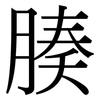 腠: Serifenschrift (Songti/Mingti)