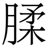 腬: Serifenschrift (Songti/Mingti)