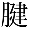 腱: Serifenschrift (Songti/Mingti)
