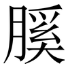膎: Serifenschrift (Songti/Mingti) 膎: Serifenschrift (Songti/Mingti)