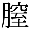 膣: Serifenschrift (Songti/Mingti)