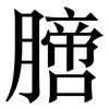 膪: Serifenschrift (Songti/Mingti)