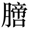 膪: Serifenschrift (Songti/Mingti)