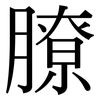 膫: Serifenschrift (Songti/Mingti)