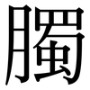 臅: Serifenschrift (Songti/Mingti)