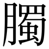 臅: Serifenschrift (Songti/Mingti)