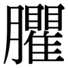 臞: Serifenschrift (Songti/Mingti)