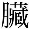 臟: Serifenschrift (Songti/Mingti)
