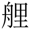 艃: Serifenschrift (Songti/Mingti) 艃: Serifenschrift (Songti/Mingti)