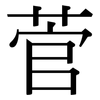 菅: Serifenschrift (Songti/Mingti)