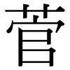 菅: Serifenschrift (Songti/Mingti)