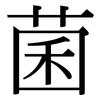 菌: serif (Songti/Mingti) 菌: serif (Songti/Mingti)