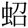 蛁: Serifenschrift (Songti/Mingti)
