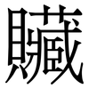贜: Serifenschrift (Songti/Mingti)
