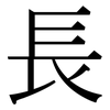 長: Serifenschrift (Songti/Mingti)