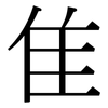 隹: Serifenschrift (Songti/Mingti)