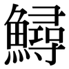 鱘: Serifenschrift (Songti/Mingti)