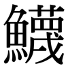 鱴: Serifenschrift (Songti/Mingti) 鱴: Serifenschrift (Songti/Mingti)