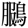 鵩: Serifenschrift (Songti/Mingti)