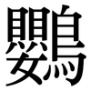 鸚: Serifenschrift (Songti/Mingti)