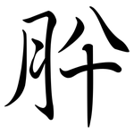 肸: Semi-Kursivschrift