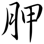 胛: Semi-Kursivschrift