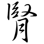 腎: Semi-Kursivschrift
