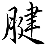 腱: Semi-Kursivschrift