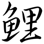 鯉: Semi-Kursivschrift