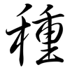 種: semi-cursive script 種: semi-cursive script