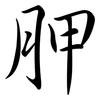 胛: Semi-Kursivschrift