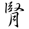 腎: Semi-Kursivschrift 腎: Semi-Kursivschrift