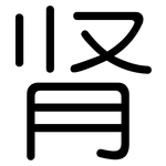 肾: Gerundet 肾: Gerundet