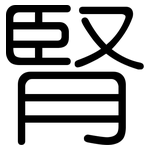 腎: Gerundet