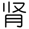 肾: Gerundet 肾: Gerundet