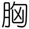 胸: Gerundet