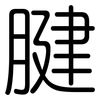 腱: Gerundet