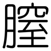 膣: Gerundet