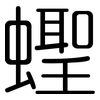 蟶: Gerundet