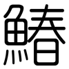 鰆: Gerundet