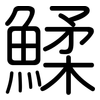 鰇: Gerundet