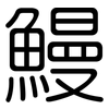鰻: Gerundet