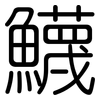 鱴: Gerundet 鱴: Gerundet