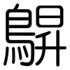 鵿: Gerundet 鵿: Gerundet
